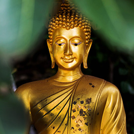 Chuyên Tour Du lịch nước ngoài, Trong nước, Vé máy bay, Visa uy tín