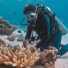 Chuyên Tour Du lịch nước ngoài, Trong nước, Vé máy bay, Visa uy tín