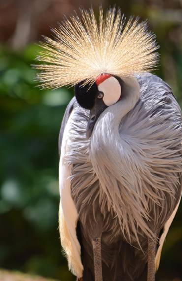 Chuyên Tour Du lịch nước ngoài, Trong nước, Vé máy bay, Visa uy tín