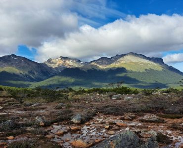 Asado Patagonia 2026: Khám phá nghệ thuật thịt nướng cừu 6 tiếng & tránh 'bẫy' du lịch