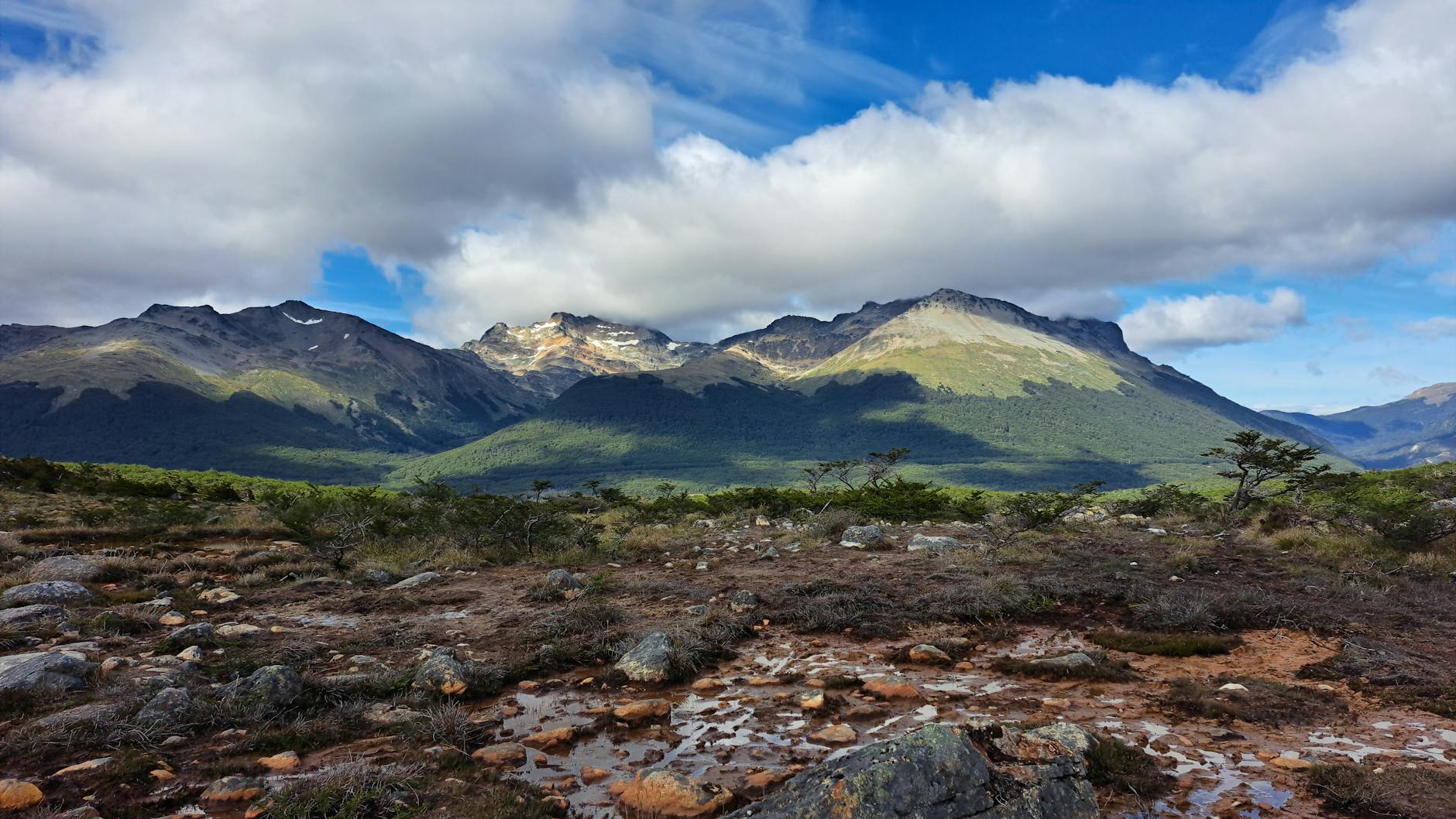 Asado Patagonia 2026: Khám phá nghệ thuật thịt nướng cừu 6 tiếng & tránh 'bẫy' du lịch