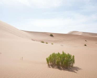 Cảnh quan sa mac Wadi Rum Jordan voi nui da do va cat vang