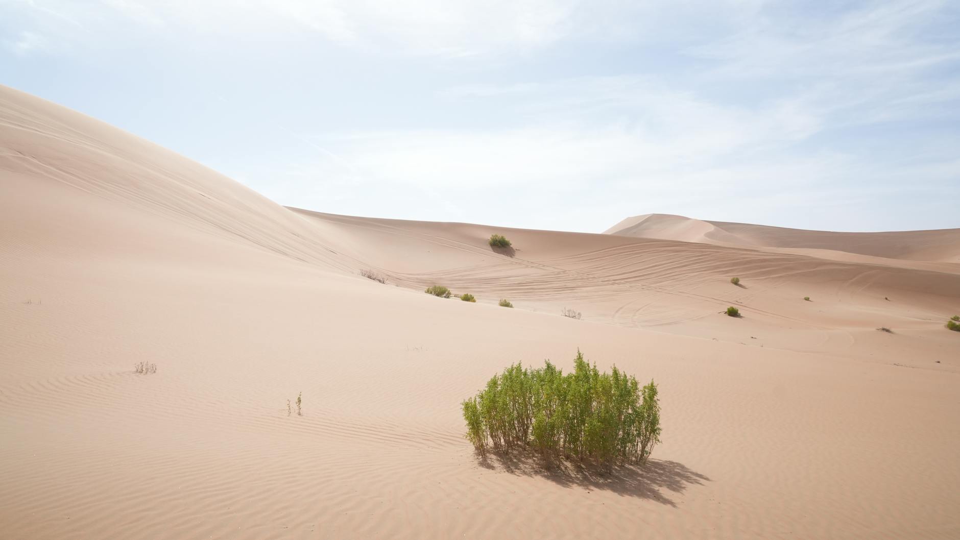 Cảnh quan sa mac Wadi Rum Jordan voi nui da do va cat vang