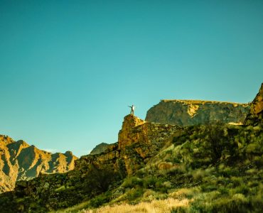 Cay mau rong Socotra hinh o up nguoc tren cao nguyen Dixam
