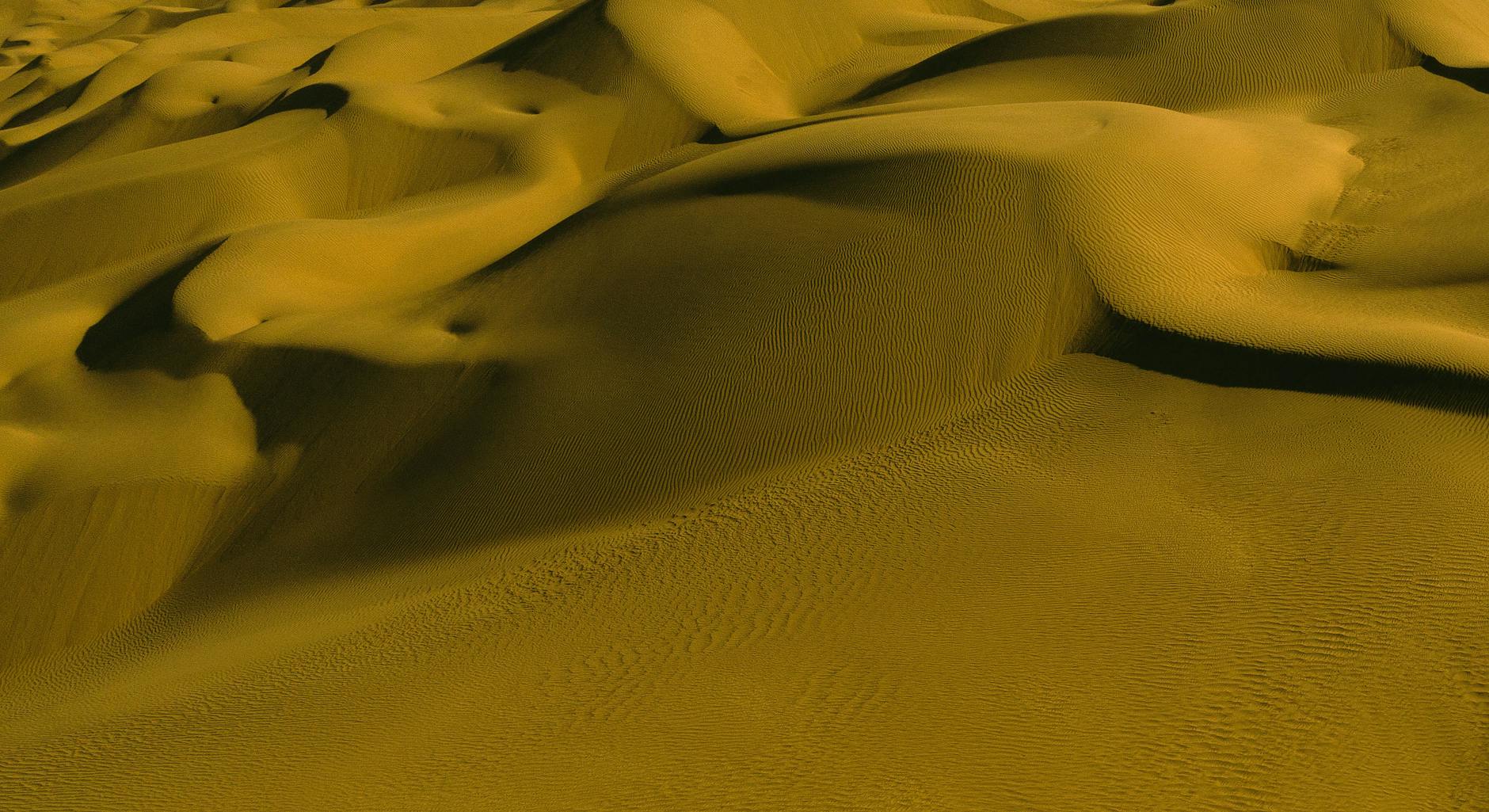 Cưỡi lac da tren sa mac Sahara hoang hon