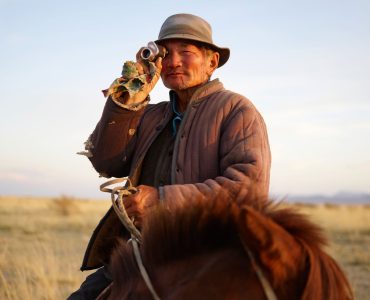 Dau vat Mông Cổ Naadam