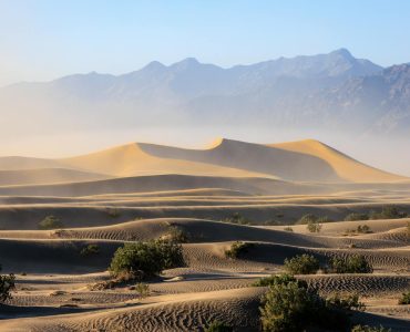 Đoàn lạc đà trên sa mạc Sahara lúc hoàng hôn