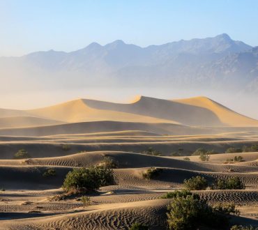 Đoàn lạc đà trên sa mạc Sahara lúc hoàng hôn