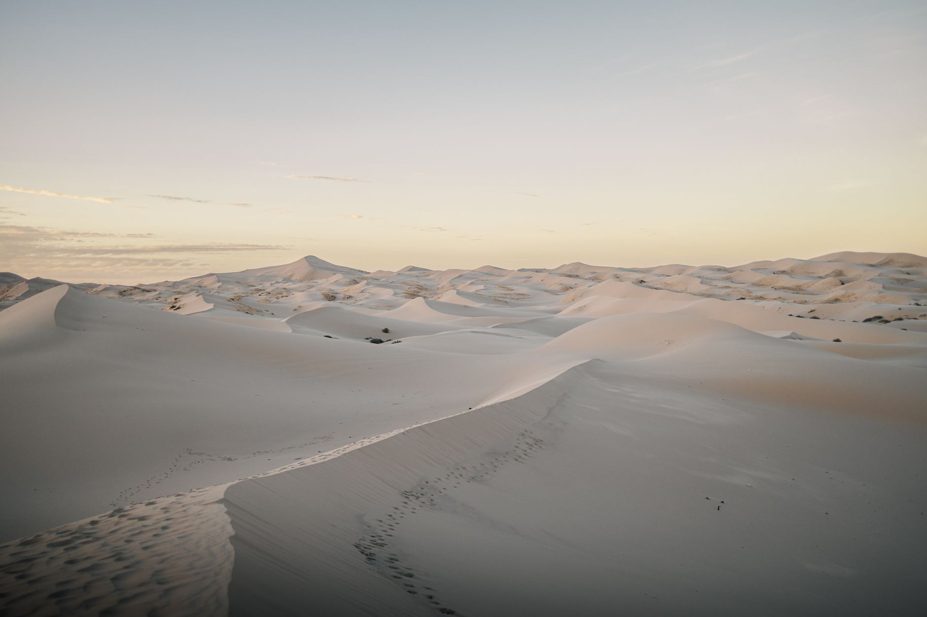 lac da tren cat Sahara hoang hon