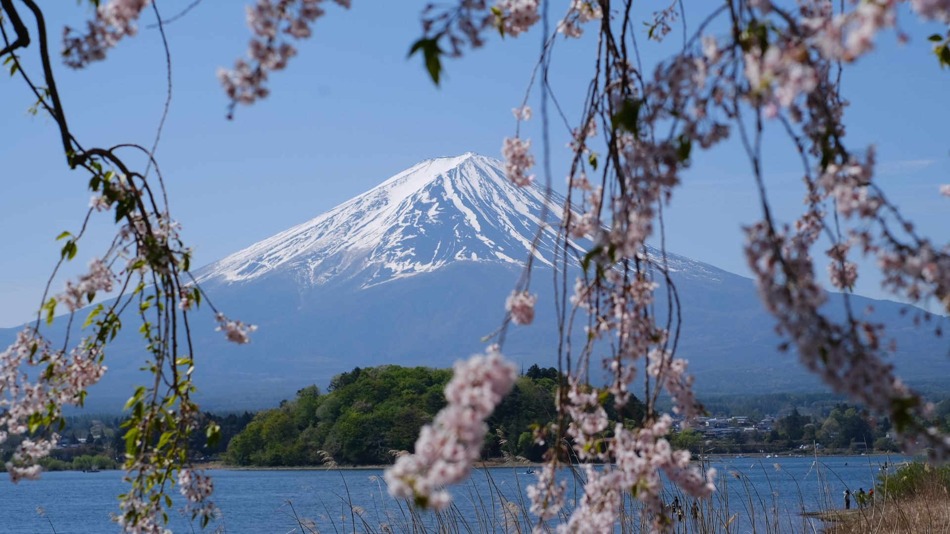 Tour Nhật Bản mùa hoa anh đào 6N5Đ: Osaka - Kyoto - Phú Sĩ - Tokyo