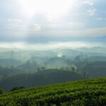 Tour Miền Bắc 5N4Đ: Hạ Long – Ninh Bình – Tam Chúc – Mộc Châu