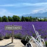 Tour Hokkaido 6N5Đ: Sapporo – Otaru – Furano – Noboribetsu