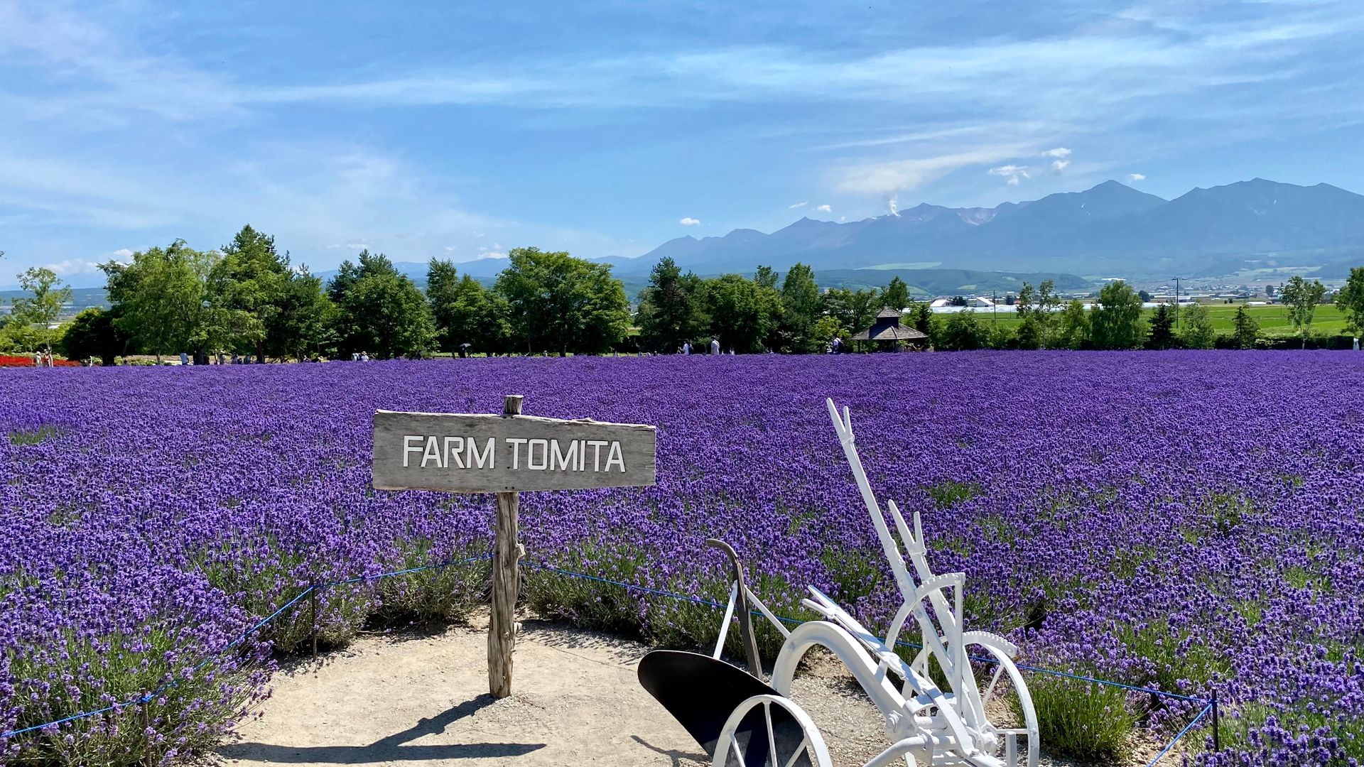 Tour Hokkaido 6N5Đ: Sapporo - Otaru - Furano - Noboribetsu