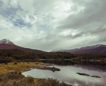 Thit cuu nuong asado Patagonia